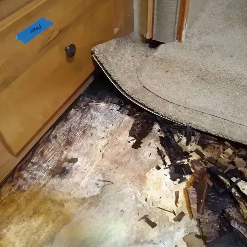 Wood Floor Water Damage in Fayetteville, PA